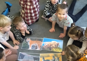 Zajęcia edukacyjne w grupie II